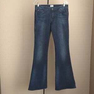 Hudson Jane Flare Mid Rise Medium Wash Stretch Jean Sz 30